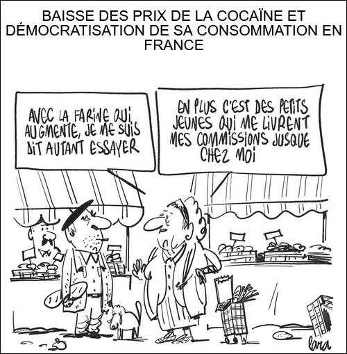 text alternatif