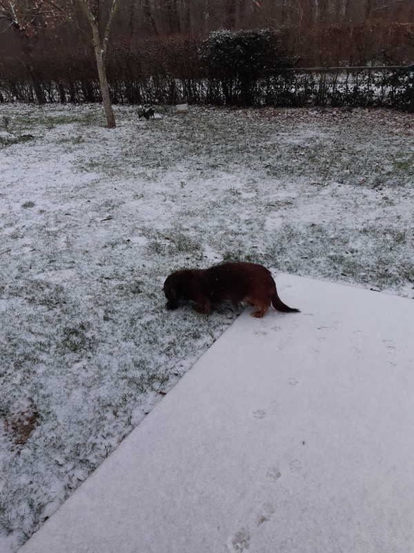 [Image: 20210112-110556.jpg]