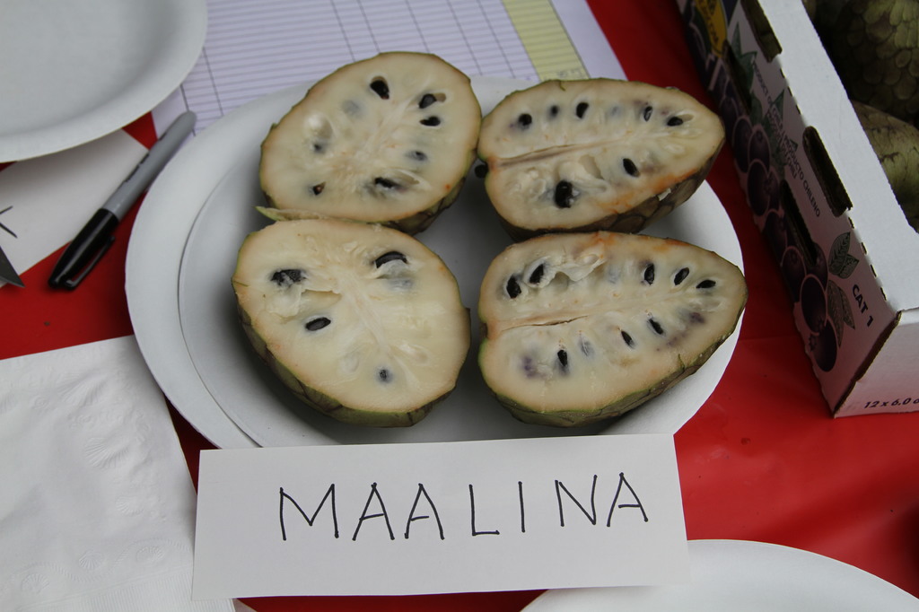 Maalina