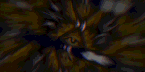 4.gif