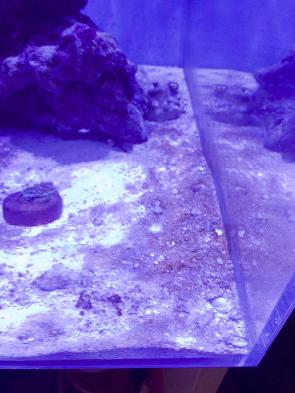 Foto 04-05-18, 19 35 51 (1)