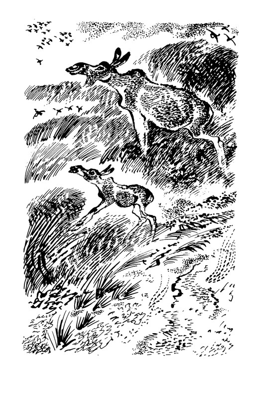 1993-page-0013