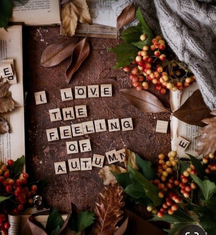 Screenshot_20231112_212035_Pinterest