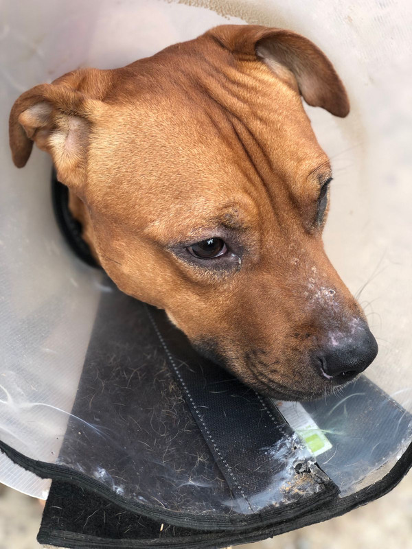 WhatsApp Image 2022-09-12 at 14.46.54 (1)