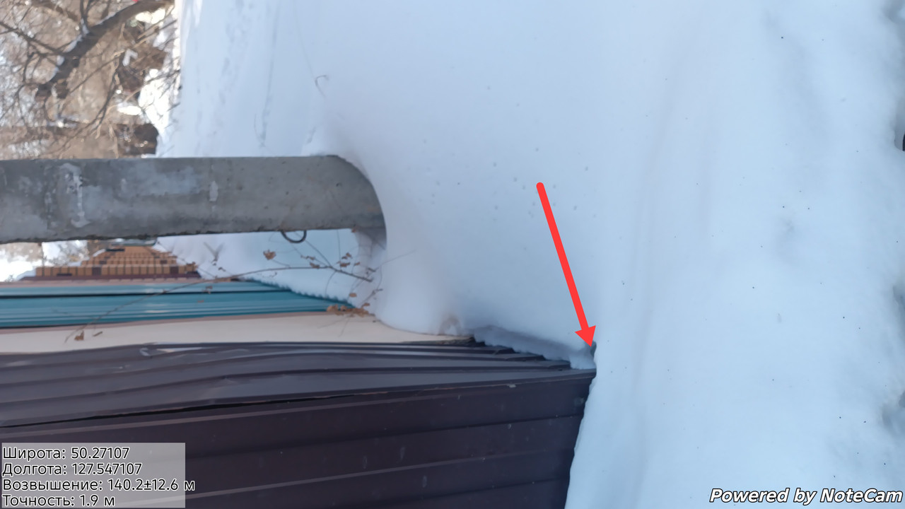 IMG 20260306 093434 263