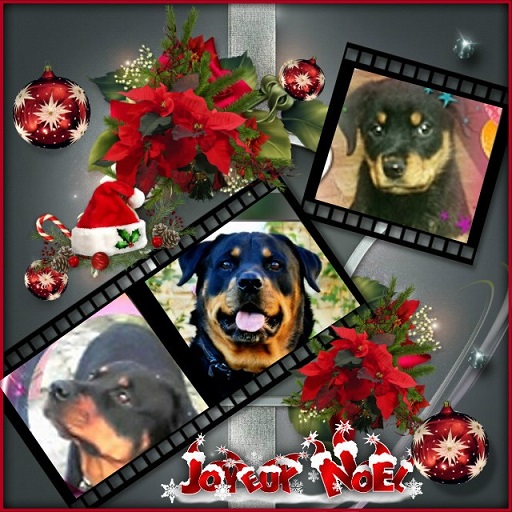 pixiz 21 12 2025 17 38 23