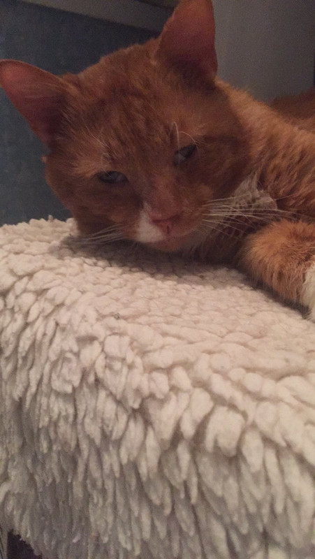 69D437E8-7256-4D1E-B6AA-AFD4AFA9F454