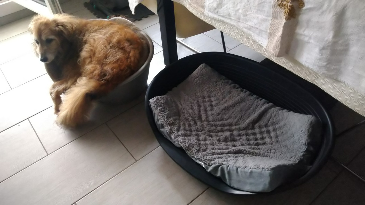 [Image: DSC-0764.jpg]