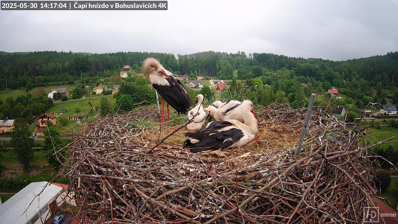 Živě z čapího komína firmy KARA v Bohuslavicích u Trutnova 12-5-34 screenshot