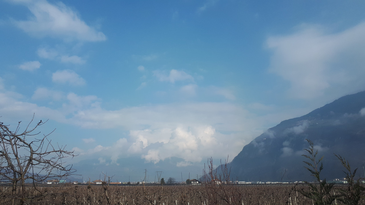 20190308_102455