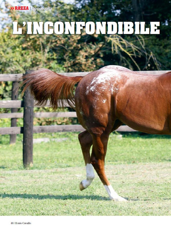 Il Mio Cav (Lug-Ago 2023) 7