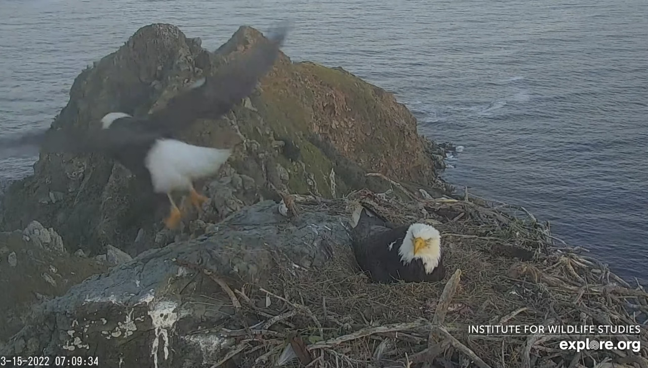 C329C6BD-C7AE-43F5-9044-6C3F6A550D3B