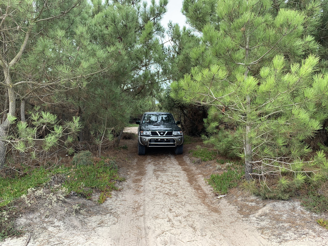 623E6D8C-EC98-44A4-980C-C567D214D946