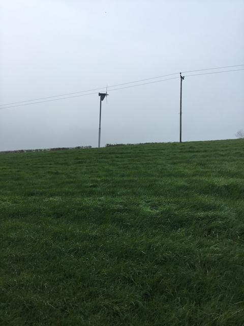 D3F1AD47-9D3B-4755-B683-CEA93AF1B095