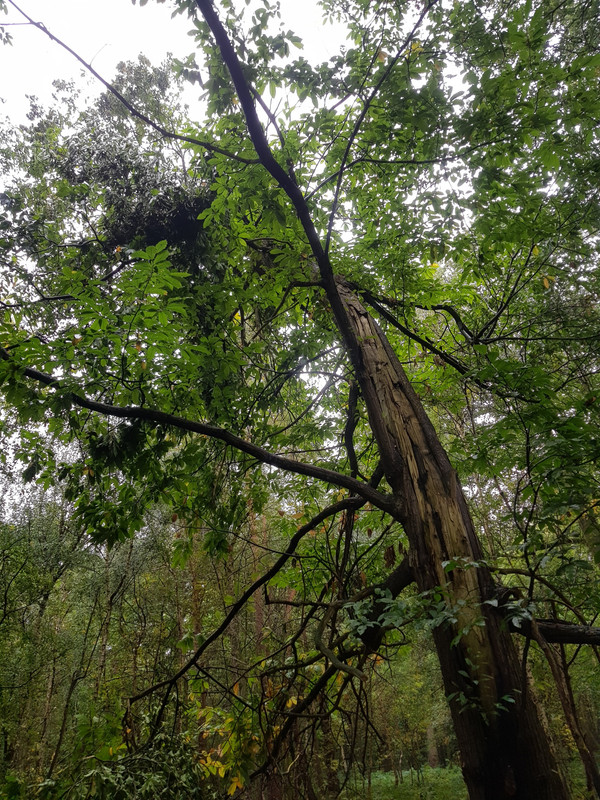 20180920_102116.jpg