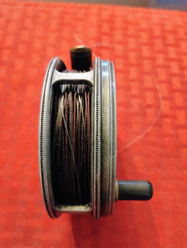 IMG_20250813_074415490_AE