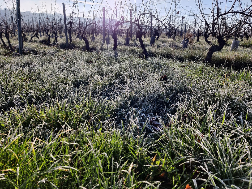 https://i.postimg.cc/k5LV2YR4/givre-1.jpg