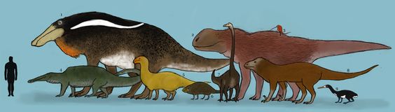 0570437459eb33d0276a57d8ec381b7d