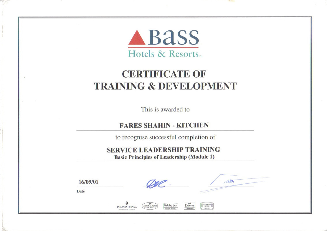 Service leadership- MODEL 1- BASS