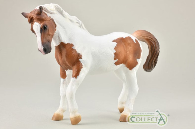 1 - 2021 Horse Figure of the Year, CollectA Mongolian! C-chi-pony