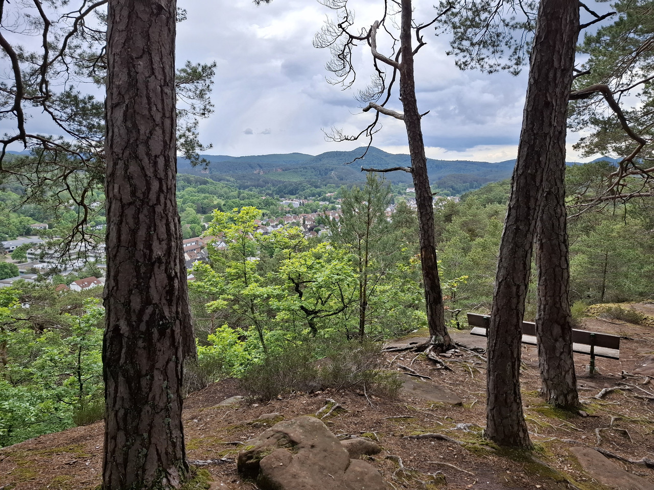 20260515-145109.jpg