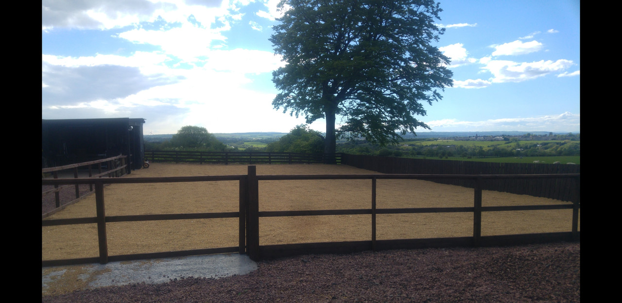 Screenshot_20190728-174949_Gallery