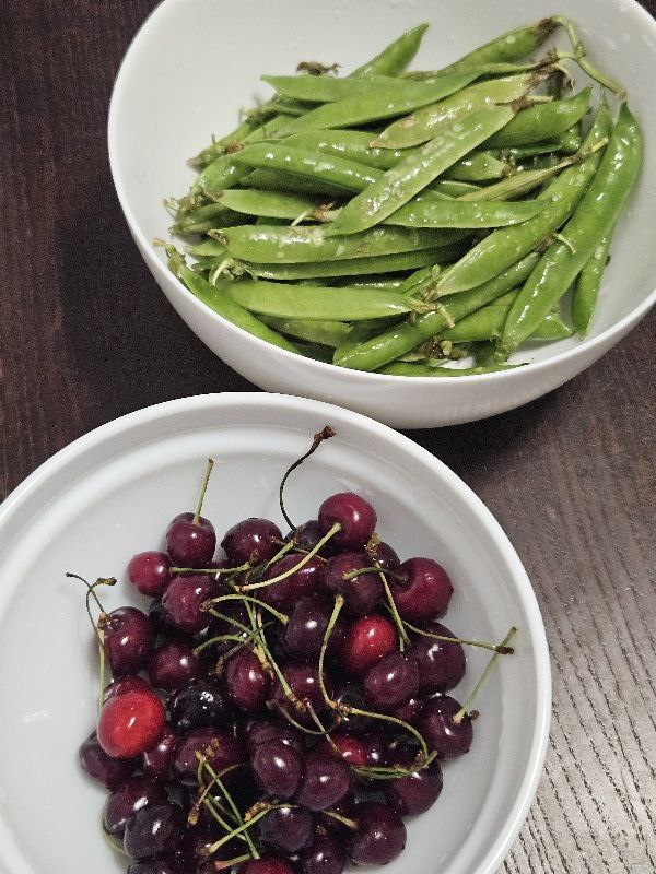 photo_2025-06-13_14-09-31 (2)