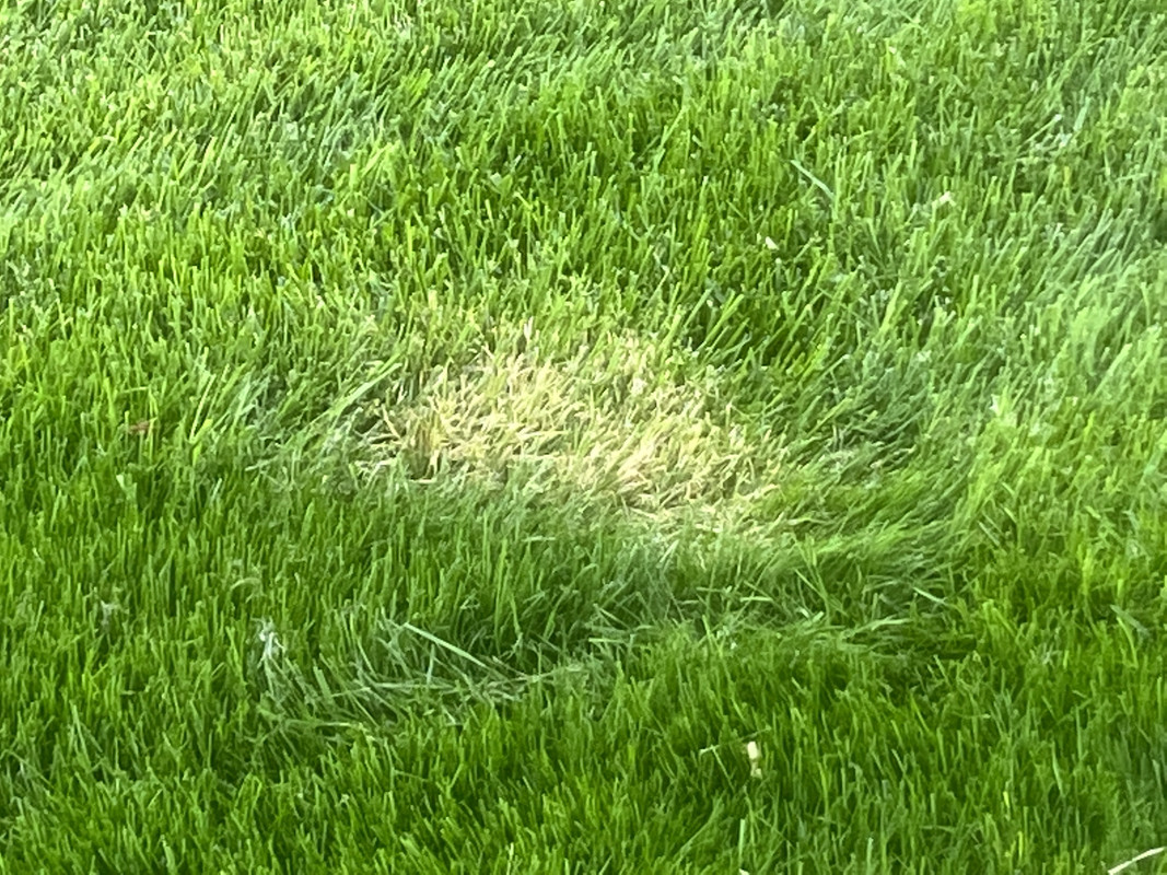 7A283DD7-9CCB-4D03-B990-0E877A131A38