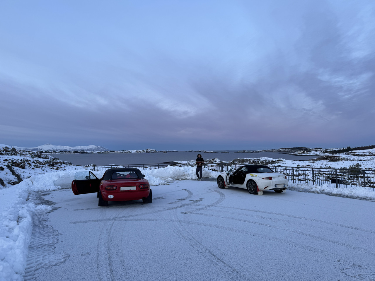 [Immagine: IMG-9350.jpg]