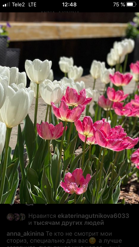 D53FBF11-7F1B-4DAD-B390-06386E7EDB22