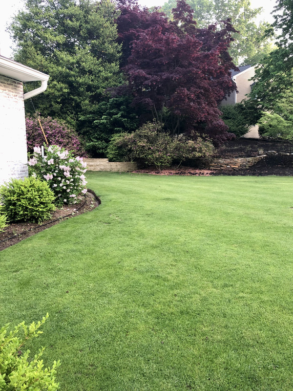 7AEFE6D8-29FE-4D99-9A7E-253B839AF1AC