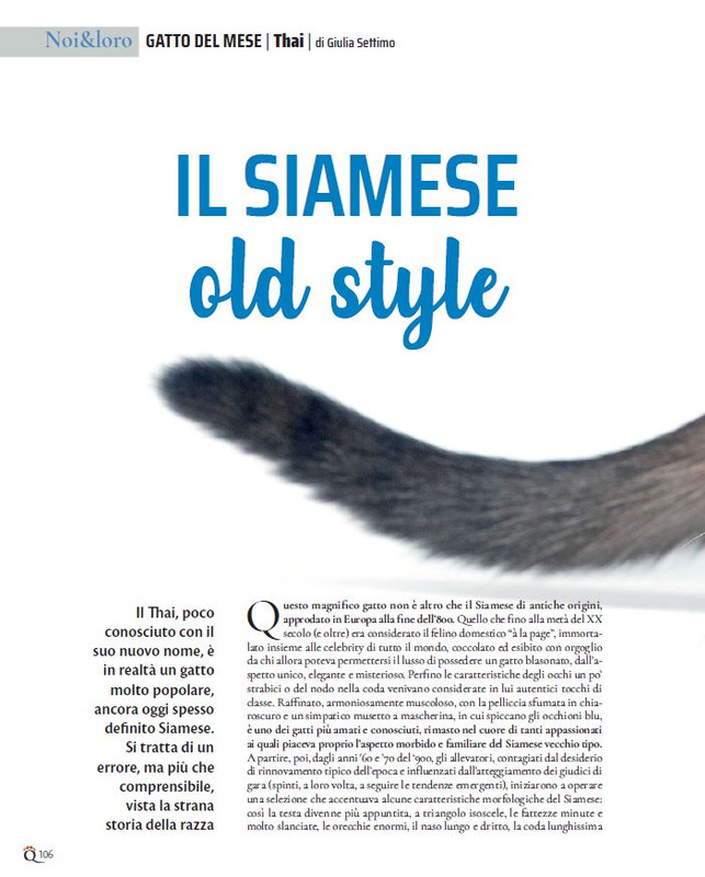 QuattroZampe Gen 2022 (11)