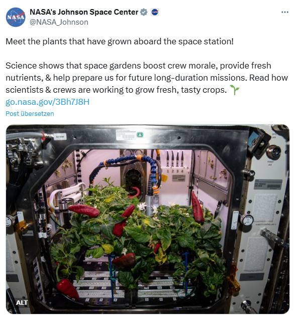 Garten auf der Internationalen Raumstation (ISS)