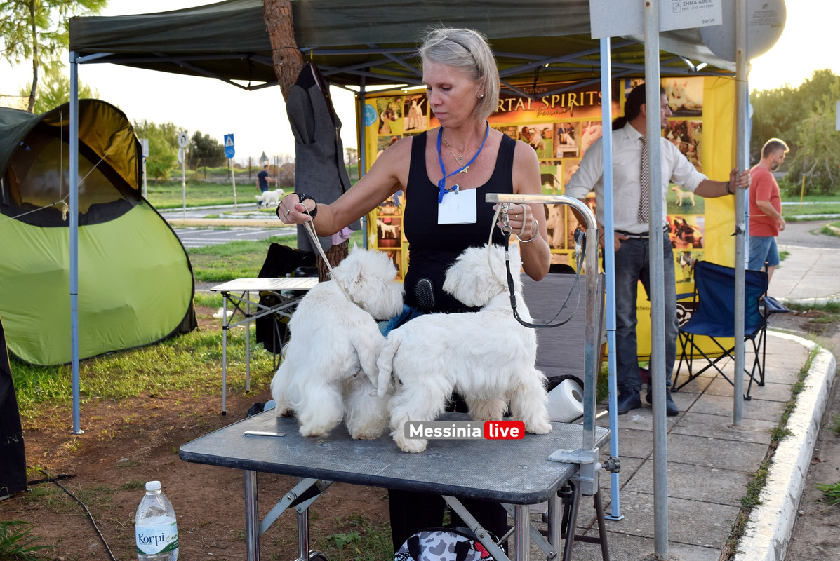 παρκο σκυλιαDSC_0936