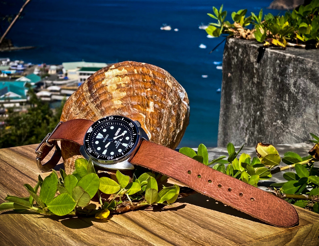 Seiko turtle hotsell on leather