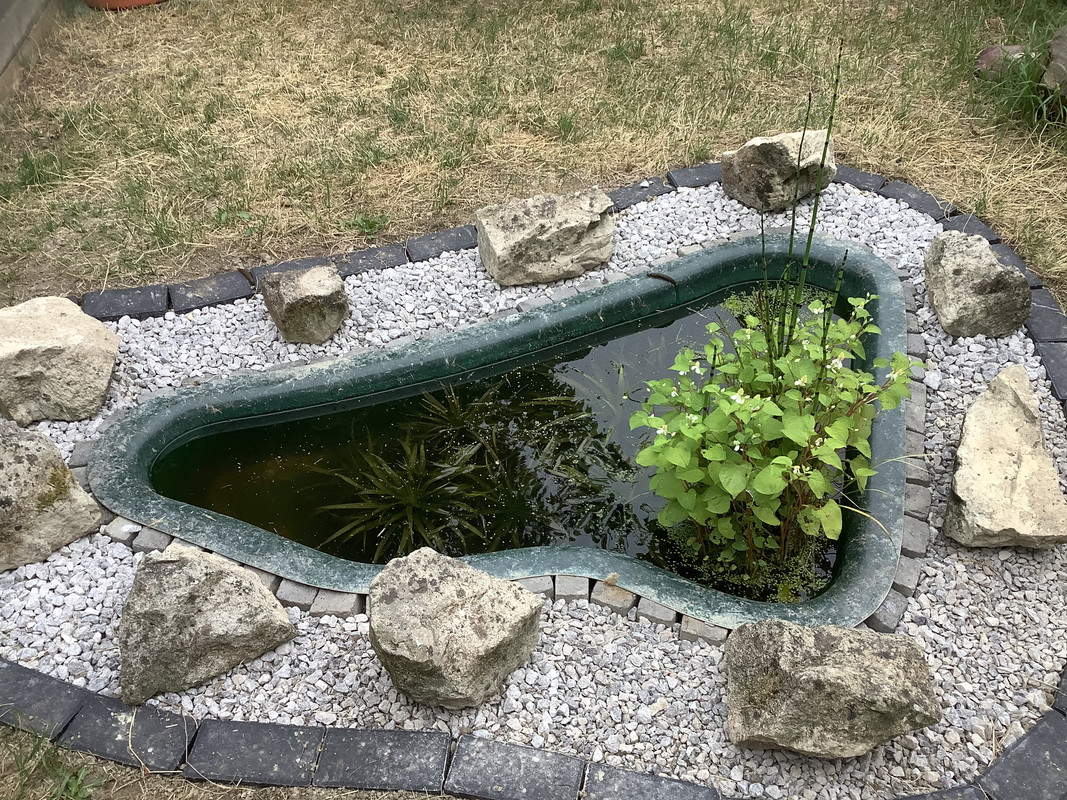 F6AF682A-E52E-4566-AD7F-BEFA15E984C5