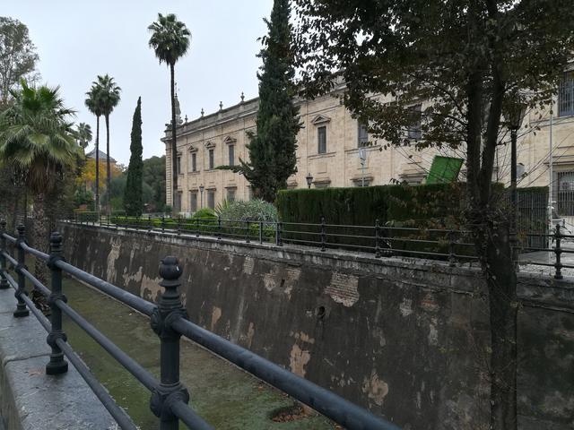 Sevilla, bajo la lluvia de otoño - Blogs of Spain - Día Dos: Sevilla Monumental y Triana. (9)