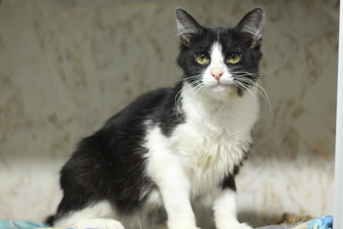 IMG_7318 — копия