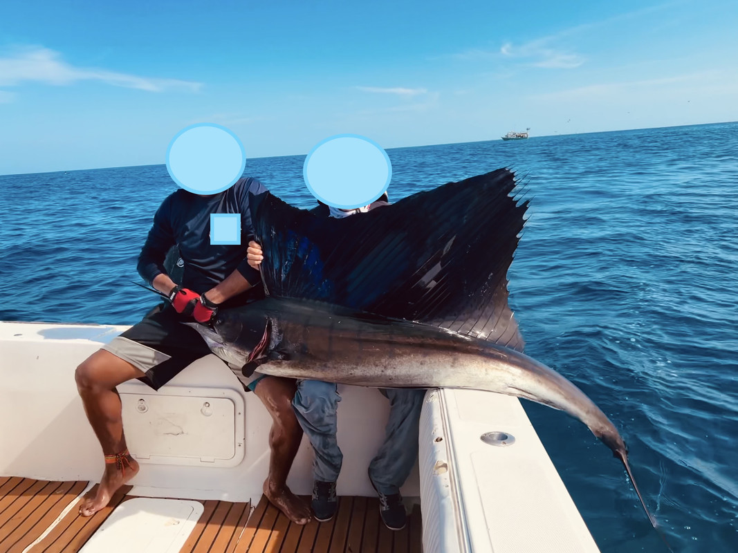 IMG_026279 (Conflicto de mayúsculas y minúsculas)