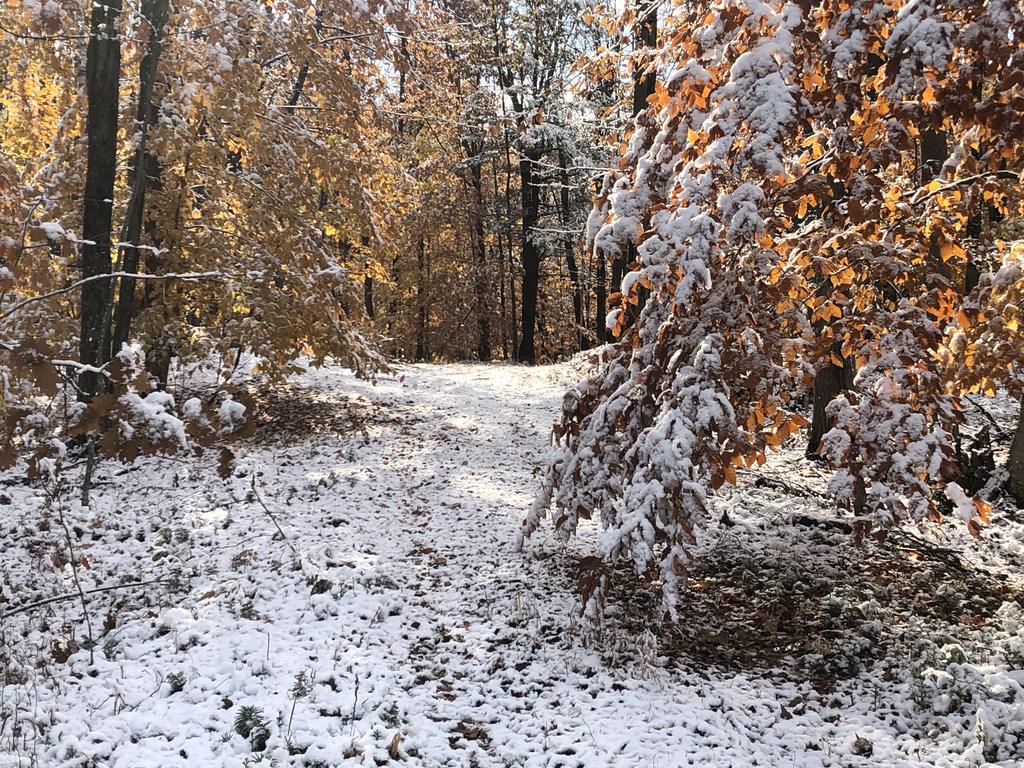 26A72A74-B17F-406E-86C4-237D86D68BBE