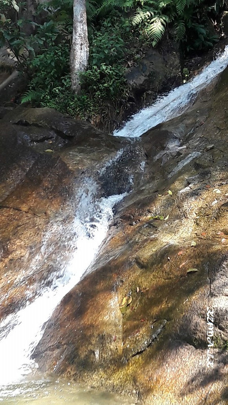 20190319-112907.jpg