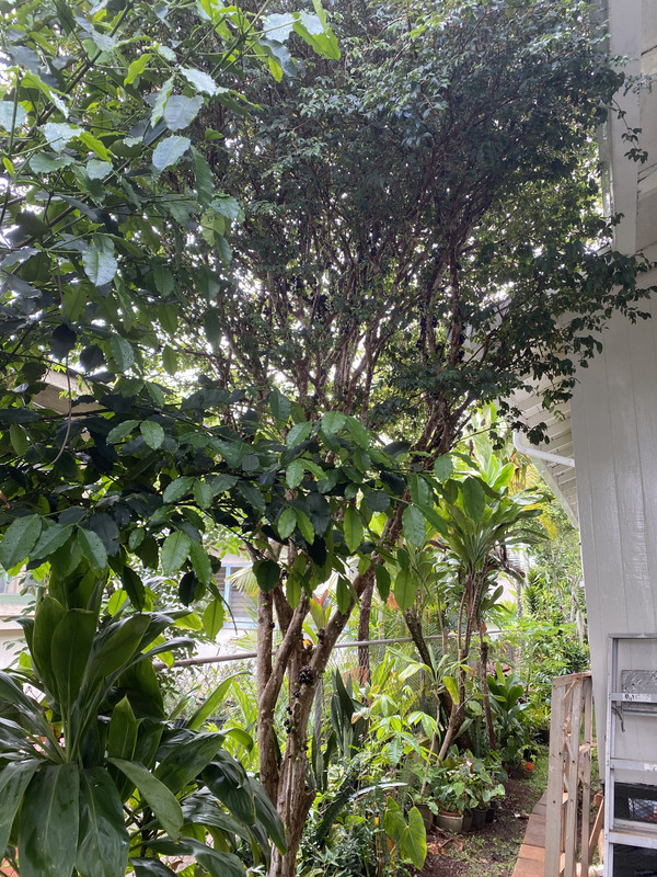 E5C35C20-4F1E-42F5-B49C-47492CC8A062