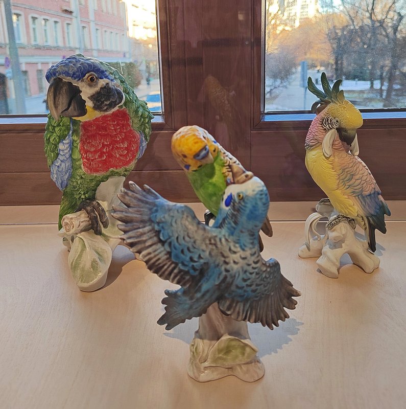 https://i.postimg.cc/k5QDFgdk/59-IMG-20241126-144034.jpg