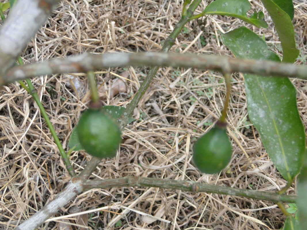 DSC01195
