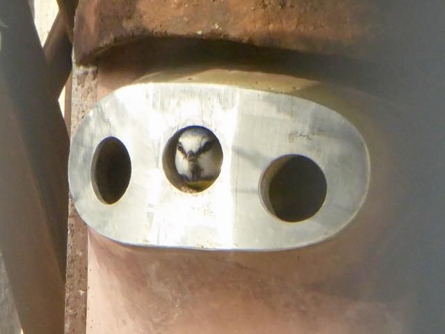 606EDDE5-441B-4359-9C25-D19BBC1A44DE