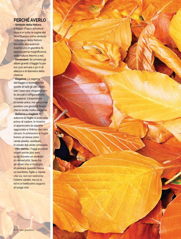 Il Mio Giar Ott-Nov 2022 (1)