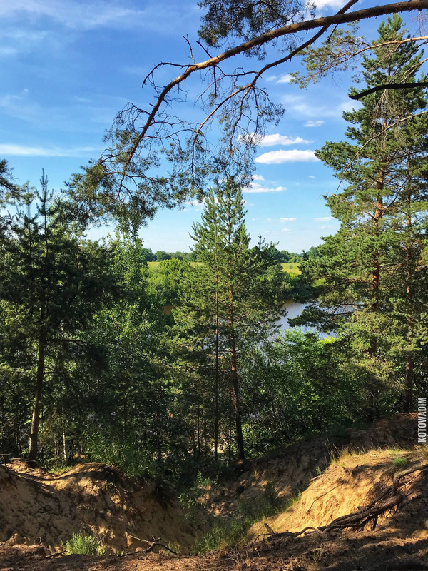 C6F61DA9-4A3F-44B7-BE55-E82657B5DE07