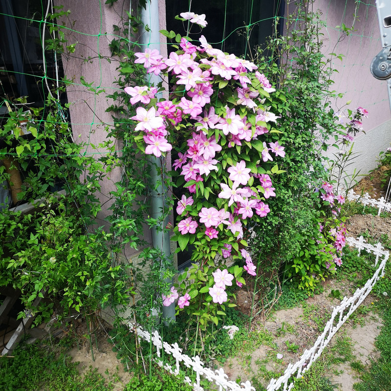 IMG_20200430_154247