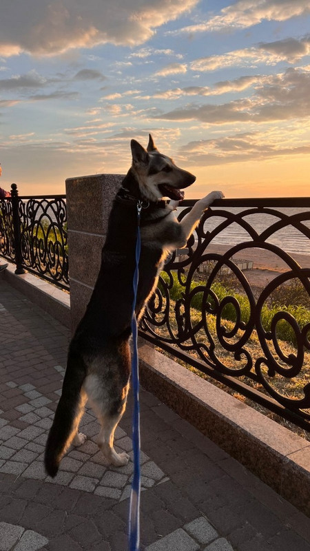 kJBlmg7Wc_TkFWkLcbXXV9-0NrxcEkFmOUbi11v4IXua-pzWezdXfj4GjRlN8X2AaLmRDBbjsFvIuuu5p7bHIyk1