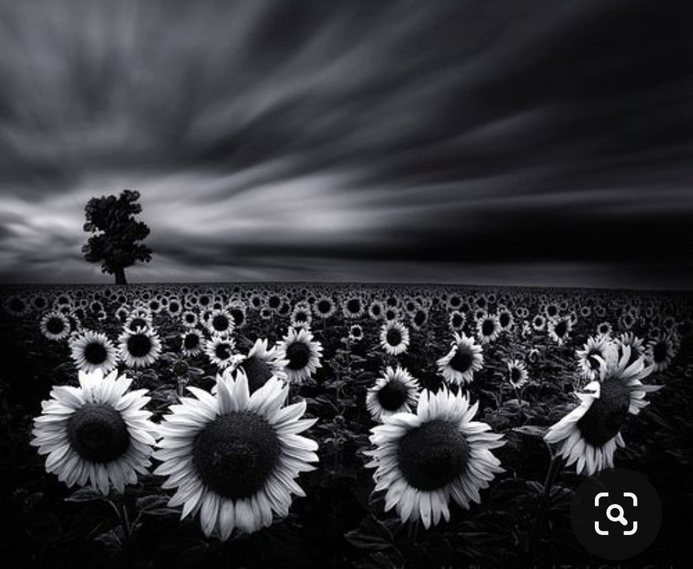 Screenshot_20231024_202253_Pinterest